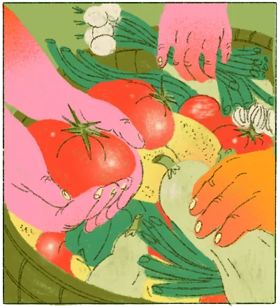 Vegetables from the garden